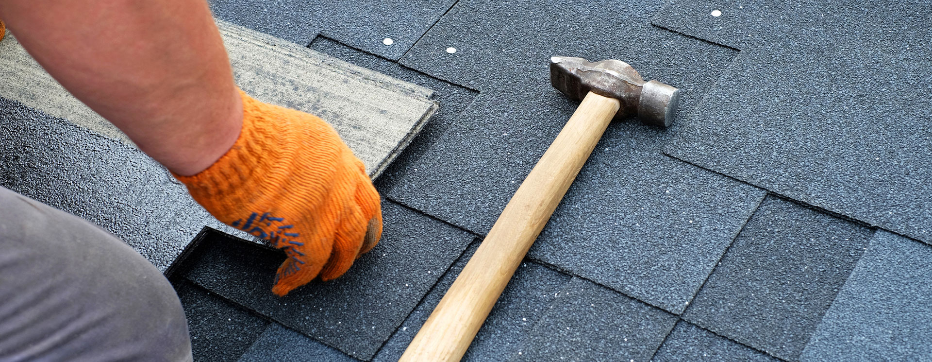 Roof Maintenance