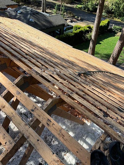 Roof Replacement Solutions