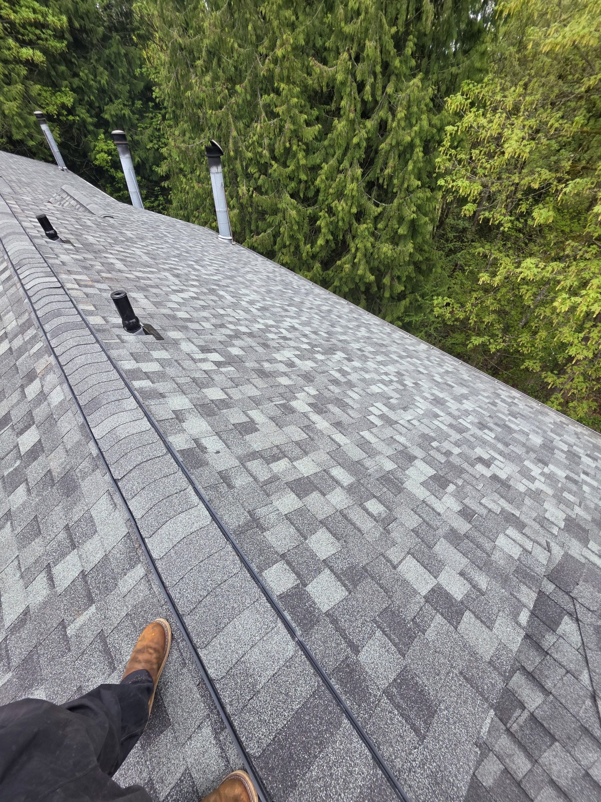 Roof Replacement Solutions