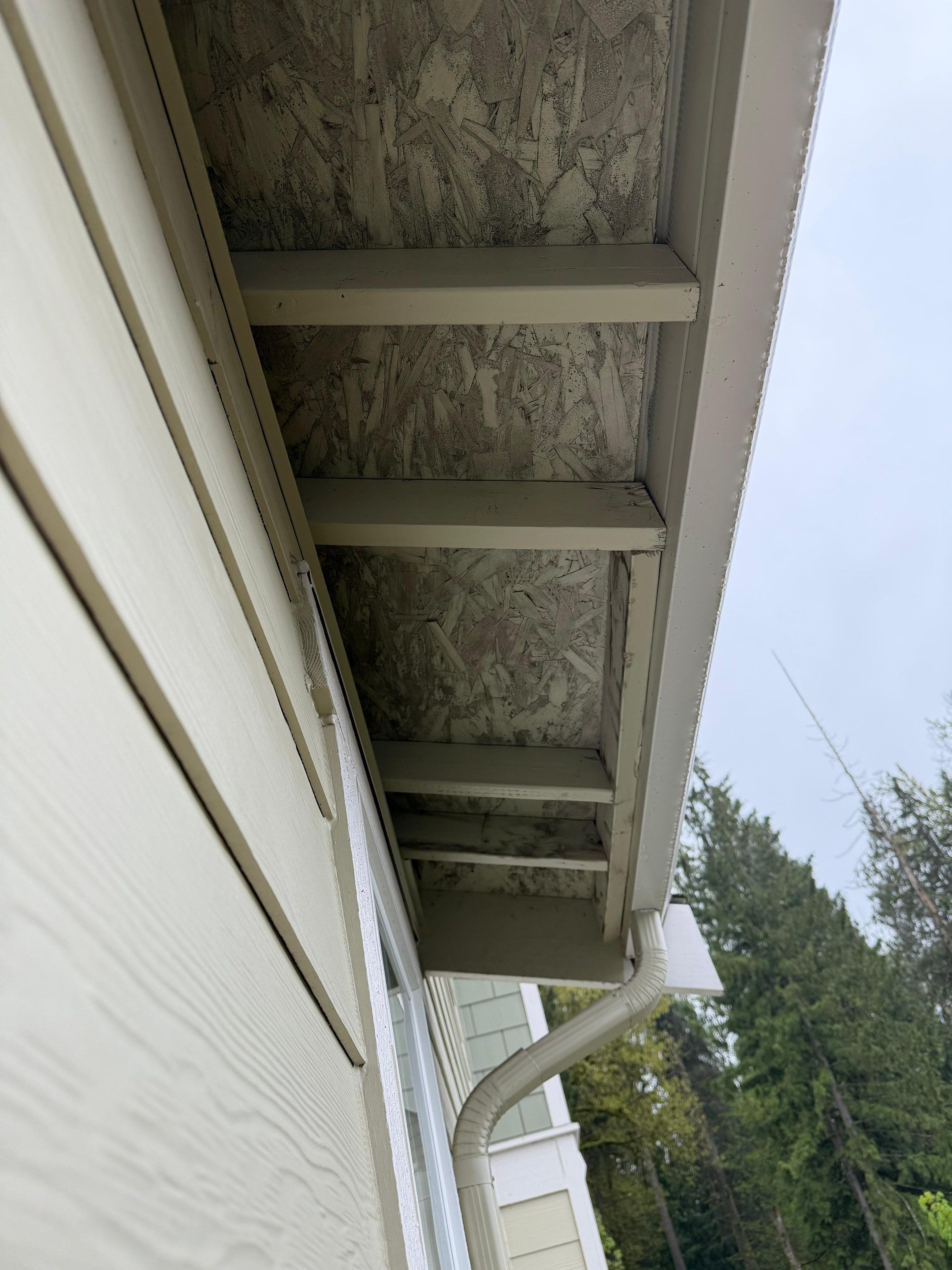 Roof Replacement Solutions