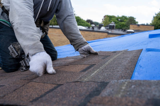 Roof Replacement Solutions